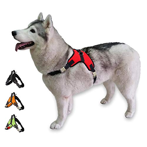 5 Best EscapeProof Dog Harnesses for Houdini Hounds [2019 Reviews]