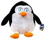 The Penguins of Madagascar Baby Private 10