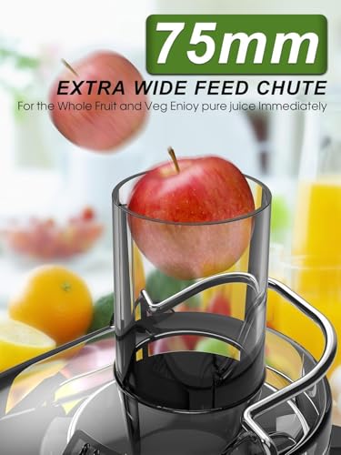 Juicer Machines, Centrifugal Juicers Extractor Max Power 1200W with 75mm Feed Chute for Whole Fruit and Vegetable, 2 Speeds Comtrol, High Juice Yield, 650ml Large Juice Jug, Cleaning Brush Included