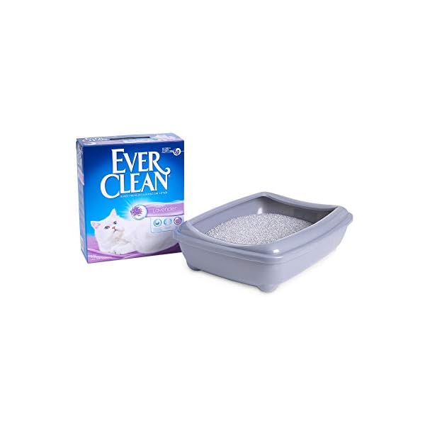 Ever Clean Lettiera Agglomerante Lavanda, 10.Litri, Profumata