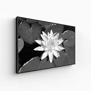 Canvas Wall Art for Living Room, Bedroom Monochrome Plants Framed Canvas Prints for Home Decoration Ready to Hang - 16x24 inches