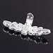 Santfe Fashion Crystal Rhinestone Flower Shoe Buckle Shoe Clips for Bridal Wedding Party Shoe Decoration (Silver)