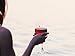 Bliss Home Elegant Multicolor Swarovski Crystal Magnetic Wine Glass Charms - Drink Markers for Wine, Champagne, Beer and Cocktail Glasses (Set of 12) - Box Included for Storage or Gifting