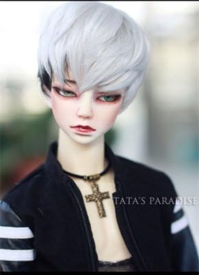 1/3 BJD Wig doll DIY High-Temperature white &amp; black short hair for BJD SD male dollfie