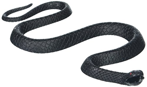 Black Snake | Halloween Trick or Treat