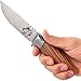 Fixed Blade Hunting Knife - Decorative Stainless Steel Hunting Knofe with Wood Handle - Birthday Christmas Gifts for Men FB 1910 Z