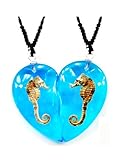 Real Valentine Seahouse Necklace (blue)