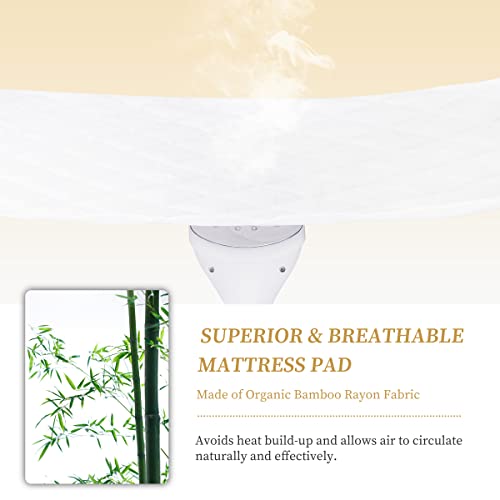 Safe and Sound Crib Mattress Protector (1 Pack), Waterproof Quilted