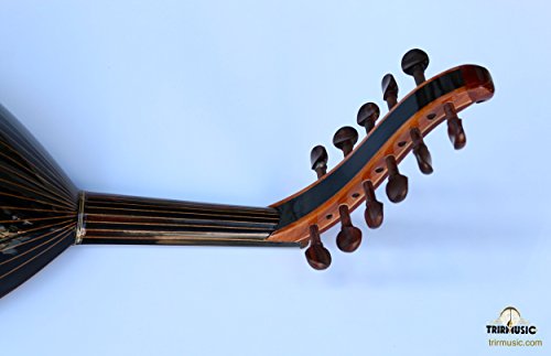 Turkish Quality Walnut String Instrument Oud Ud AO-108