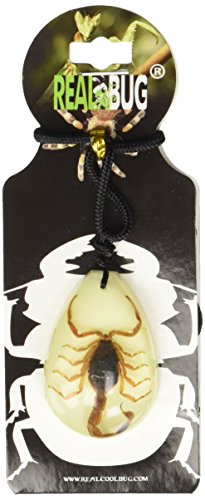REALBUG Gold Scorpion Necklace, Glow in the Dark, Large