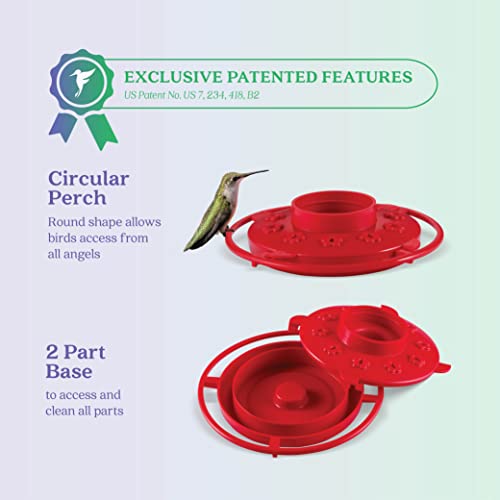 Hummingbird Feeder 16 oz. Plastic Hummingbird Feeders for Outdoors