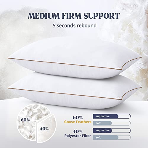 puredown® Goose Feathers and Down Alternative Pillows, Premium Medium