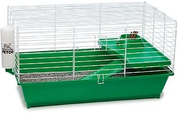 petco guinea pig supplies