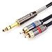 TISINO RCA to 1/4 Cable, Quarter inch TRS Jack to RCA (6.35mm Stereo to 2 RCA) Audio Y Splitter Cable Insert Cable - 1.6 feet/50 cm