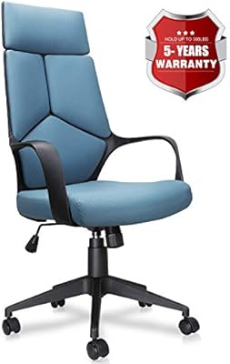 Becozier Mordern Office Chair High Back Computer Task Chairs Desk Chairs With Detachable Headrest Adjustable Height Mesh Cushion For Home And Office Conference Room Unique Design Blue Blue Amazon Ae