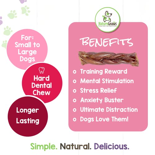 NATURE GNAWS BRAIDED PORK JERKY STICKS FOR DOGS – PREMIUM NATURAL DOG CHEW TREATS – RAWHIDE FREE DENTAL BONES – LONG LASTING TRAINING REWARD TREAT