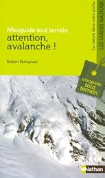 Attention, avalanche !