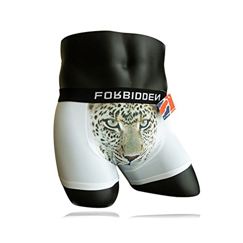 cytprimedesign Men's 3d Printing Boxer Brief with Animal Pattern,Leopard,US M(Asia, L)