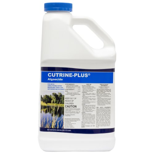 Cutrine Plus Gallon abc-1003