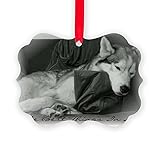 CafePress - Bestthings - Christmas Ornament, Decorative Tree Ornament