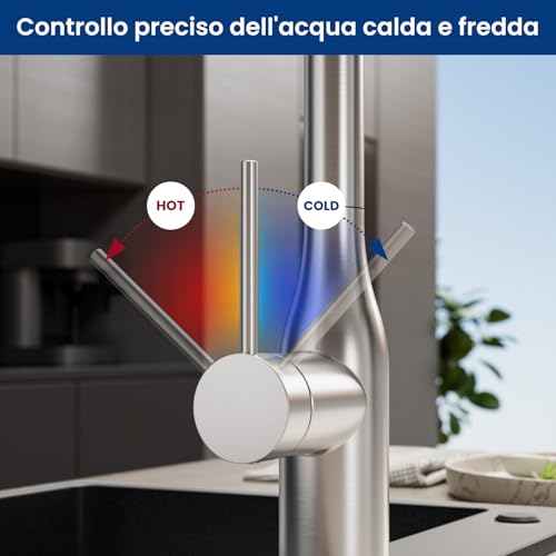 CECIPA Pull-Out Kitchen Tap with 2 Jets, High Arc Kitchen Mixer with Pull-Out Shower, 360° Swivel Sink Faucets with Hand Shower, Stainless Steel Mixer Tap