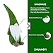 RITODULIA ZHUANGYI Handmade Swedish Gnome Santa Scandinavian Gnome Plush Figurines Gnome Elf Christmas Ornaments Gifts Home Christmas Decoration-Green
