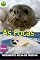 Livro As Focas
