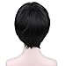 BERON Short Straight Wigs for Cosplay Party DIY Styling Fun Wigs with Hairnet (Black)