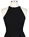 Berydress Women's Halter Neck Backless Black Cocktail Party Dress (US6, 6019_Black)