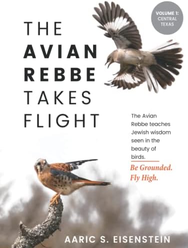 The Avian Rebbe Takes Flight: Volume 1: Central Texas