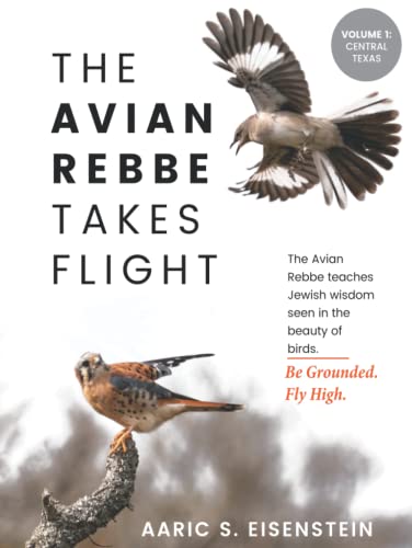 The Avian Rebbe Takes Flight: Volume 1: Central Texas