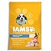 Iams Proactive Health Smart Puppy Large Breed Dry Dog Food Chicken, 15 Lb. Bag primary