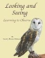 Looking and Seeing: Learning to Observe