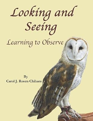 Looking and Seeing: Learning to Observe