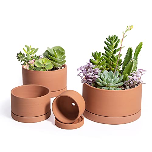 Set of 4 Terracotta Shallow Planter Pots for Succulent, 3 Inch 4 Inch 5