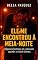 Livro Ele me Encontrou à Meia-Noite : Algumas histórias só começam quando a cidade dorme.