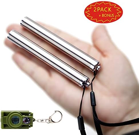 LED Pen Lights Stainless Steel 2 Pack |  Mini Keychain Flashlights Pocket Size with Nice Moonlight| Mini Small Flashlights Perfect for Travel Hiking Home or Office with Mini Telescope
