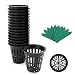 GROWNEER 50-Pack 2 Inch Garden Slotted Mesh Net Cups, Heavy Duty Net Pots with 50 Pcs Plant Labels, Wide Lip Bucket Basket for Hydroponics primary
