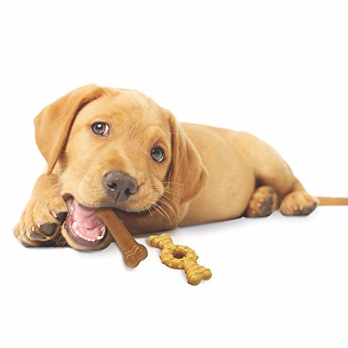 Nylabone Puppy Chew Chicken Puppy Toy Twin Pack, X-Small