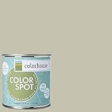 Inspired Eggshell Interior Colorspot Paint Sample, Nourish .02,  8-oz