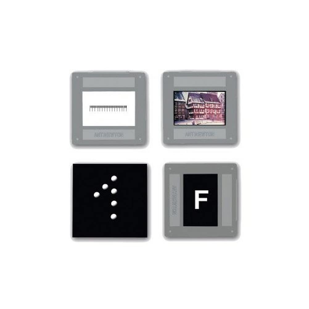 3B Scientific U8476605 Image Object (Pack of 4)