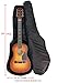 Performance Plus Heavy Duty 600 Denier Nylon Acoustic Guitar Bag (GB060)