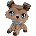 Lps Collectable Rare Figures Toy with lps Accessories Kids Gift (lps #893)