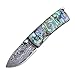 KUBEY DM067 Hunting Pocket Knife Folding Outdoor Knife with Color Shell Handle Damascus Steel Blade Gentlemans Camping Tool EDC Gear Knives