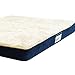 Simmons Beautyrest Thera Bed Orthopedic Memory Foam Dog Bed and Kennel / Crate Mat