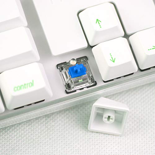 Qisan Mechanical Gaming Keyboard Crystal Case GATERON Blue Switch 100% Full Size 108 Keys PBT Dye-subbed Keycaps Green Font with White Backlight Magicforce
