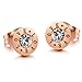 ZARABE Women's 316L Stainless Steel Rose Gold Love Rhinestone Stud Earrings 14mmx8mm-1pair by h