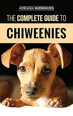 chi weiner dog