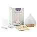 Texsens Aroma Essential Oil Diffuser Work with Alexa, Color Changing Night Light, 280ML Cool Mist Humidifier with Timer Setting, Auto Shut-Off
