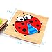 Dinana Wooden Animal Jigsaw Puzzles for Toddlers 1 2 3 4 Years Old, Educational Toys Gift with 5 Pcs Chunky Bright Vibrant Color Shapes Lovely Animal, Free Drawstring Bag for Easy Storage